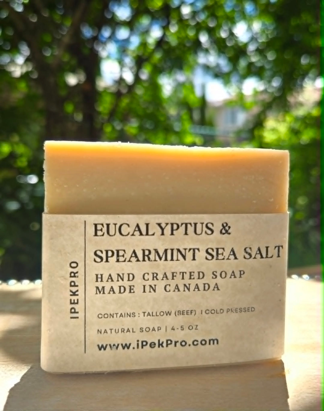 EUCALYPTUS & SPEARMINT SEA SALT SOAP